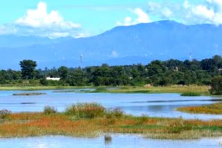 Wetlands Day 2023