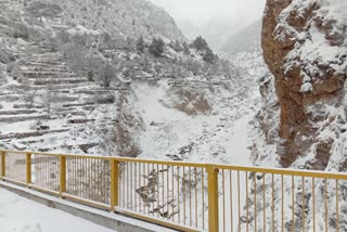 Avalanche in Chamoli