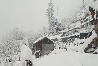 Chamoli Avalanche  Snowfall in Kedarnath Dham  rain in rudraprayag  joshimath landslide  Avalanche hits Chamoli district in Uttarakhand  മഴയില്‍ കുതിര്‍ന്ന് ഹിമാലയന്‍ മലനിരകള്‍  ഉത്തരാഖണ്ഡില്‍ ഹിമപാതം  ഹിമാലയത്തില്‍ നിന്ന് മഞ്ഞ് പാളി അടര്‍ന്ന് വീണു  ചമോലിയില്‍ ഹിമപാതം  ബദരീനാഥ്  കേദാര്‍നാഥ് ക്ഷേത്രം