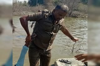 அரசு பேருந்து ஓட்டுநர்