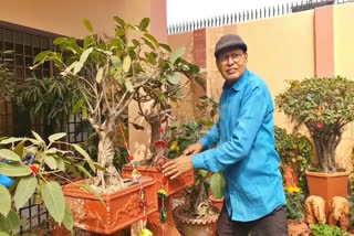 Ravi Dwivedi at his Bonsai garden