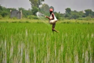 Indian farm sector performed well, but needs re-orientation: Eco Survey