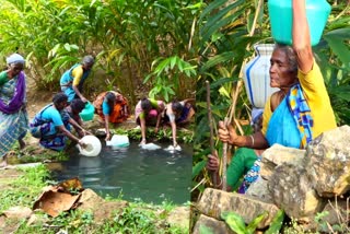 kozhipannakudi residents  drinking water crisis  wild elephant problem  elephant attack  idukki drinking water problem  watcher shakthivel death  latest news in idukki  latest news today  ഒഴിയാത്ത കാട്ടാനപ്പേടി  കോഴിപ്പന്നകുടി നിവാസികള്‍  പാതിവഴിയിലായി സര്‍ക്കാര്‍ പദ്ധതികള്‍  വനം വകുപ്പ് വാച്ചര്‍ ശക്തിവേല്‍  വാച്ചര്‍ ശക്തിവേലിന്‍റെ മരണം  കുടിവെള്ള പദ്ധതി  കാട്ടാനപ്പേടി  കേന്ദ്ര സംസ്ഥാന പദ്ധതി  കാട്ടാന ആക്രമണം  ഇടുക്കി കുടിവെള്ളക്ഷാമം  ഇടുക്കി ഏറ്റവും പുതിയ വാര്‍ത്ത  ഇന്നത്തെ പ്രധാന വാര്‍ത്ത