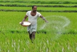 ECONOMIC SURVEY 2023 AGRICULTURE SECTOR GOOD PERFORMANCE