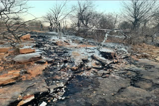 Wreckage of crashed aircraft found in a ditch