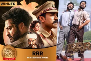 RRR beats back films that stood in Oscar ring  RRR won Golden Tomato Award  Golden Tomato Award  RRR won  RRR  ആര്‍ആര്‍ആറിന് ഗോള്‍ഡനന്‍ ടൊമാറ്റോ പുരസ്‌കാരം  ഗോള്‍ഡനന്‍ ടൊമാറ്റോ പുരസ്‌കാരം  ആര്‍ആര്‍ആര്‍  രാജമൗലി ചിത്രം  ഒസ്‌കര്‍ പട്ടികയിലുള്ള സിനിമകളെ തോല്‍പ്പിച്ച്  രാജമൗലി  RRR wins Golden Tomato Award  RRR won for Best Fan Favorite movie  Rotten Tomatoes website of America announces award  RRR beats Oscar nominated best movies  Naatu Naatu wins Golden Globe Awards  RRR wins several International awards  Ram Charan and NTR gained fans all over the world  ഗോള്‍ഡന്‍ ടൊമാറ്റോ പുരസ്‌കാരം നേടി ആര്‍ആര്‍ആര്‍  സിനിമ പ്രേമികളുടെ വോട്ടുകളുടെ