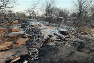 Aircraft Crash:ક્રેશ થયેલા મિરાજ-2000નું એન્જીન મોરેના જંગલના ખાડામાંથી મળ્યું