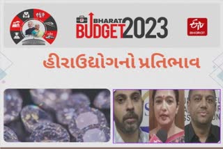 Budget 2023 : લેબગ્રોન ડાયમંડ ઇન્ડસ્ટ્રી માટે ખાસ ફંડિગ, હીરા ઉદ્યોગકારોએ બજેટને આવકાર્યું