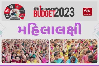 Budget 2023 : બજેટમાં મહિલાલક્ષી નાણાંકીય જોગવાઇઓની મોટી વાત