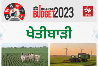 Finance minister announcements for Agriculture in Budget 2023