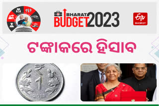 rupee budget