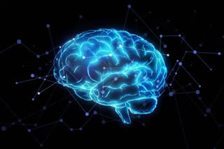 Tuning into individual's brainwave cycle boosts cognition, learning: Study