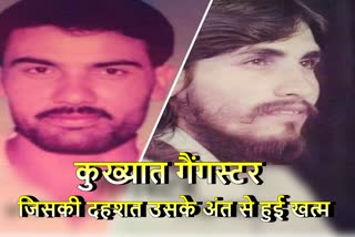 Gangster Rohtas alias Tasi Haryana gangster crime story Haryana Police caught gangster