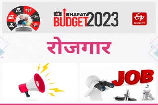Budget 2023 FM Nirmala Sitharaman on Rojgar