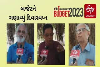 Budget 2023 : જૂનાગઢની સિનિયર સિટીઝને બજેટને છેતરવાનો પ્રયાસ ગણ્યું