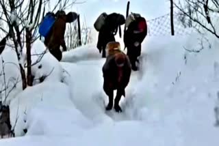 Lahaul Spiti Snowfall