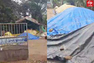 Farmers are waiting with their harvested paddy in front of an unopened paddy procurement station