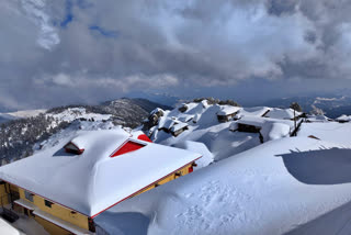 snowfall on churdhar peak