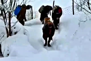 drinking water crisis deepens due to snowfall in Lahaul spiti. Villagers have to travel about 7 km in search of water in sonwfall.