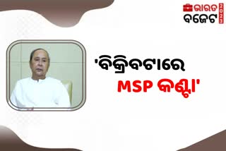 ବଜେଟ ନେଇ ମୁଖ୍ୟମନ୍ତ୍ରୀ ନବୀନ ପଟ୍ଟନାୟକଙ୍କ ପ୍ରତିକ୍ରିୟା