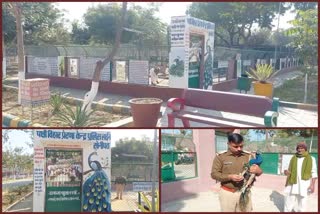 Haryana Police Asi Saving Birds Life
