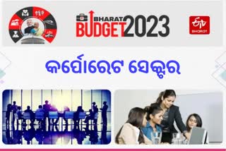 budget for corporate sector