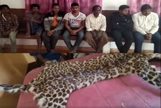 leopard skin seized from Mayurbhanj