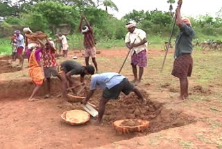 Cut to Agriculture Sector in Central Budget