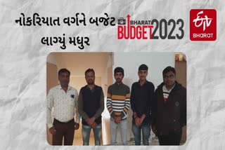 Union Budget 2023 : ભાવનગરના નોકરીયાત વર્ગને બજેટ ગોળ જેવું ગળ્યું લાગ્યું