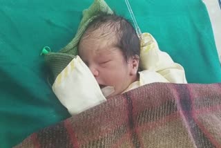 Jamnagar News : હોસ્પિટલના ગેટ પાસે મહિલા બાળકને જન્મ આપી ગાયબ
