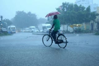 Heavy rain in Kerala  low pressure on Srilankan shore  Alternative Heavy rain in Kerala  Yellow alert for four districts  Yellow alert in kerala  Kerala Rain updates  Kerala Rain  കേരളത്തില്‍ ഒറ്റപ്പെട്ട ശക്തമായ മഴയ്ക്ക് സാധ്യത  കേരളത്തില്‍ മഴ  കേരളത്തില്‍ ഒറ്റപ്പെട്ട ശക്തമായ മഴ  ശ്രീലങ്കൻ കരയില്‍ തീവ്ര ന്യൂനമർദം  നാല് ജില്ലകളില്‍ യെല്ലോ അലര്‍ട്ട്  യെല്ലോ അലര്‍ട്ടുള്ള ജില്ലകള്‍  ശ്രീലങ്കൻ കര  കേന്ദ്ര കാലാവസ്ഥ വകുപ്പ്  കാലാവസ്ഥ വകുപ്പ്  യെല്ലോ അലര്‍ട്ട്  തിരുവനന്തപുരം  കൊല്ലം  പത്തനംതിട്ട  ഇടുക്കി