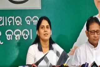 Bjd on budget