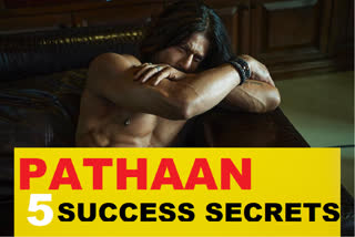Pathaan Success Secrets