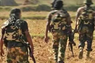 Naxal base ready in Sukma