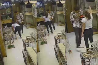 dog stealing in pet shop