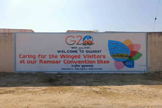 G20 tourism track meet: Main conference at Dhordo tent city, delegates to also visit Dholavira, quake memorial in Bhuj