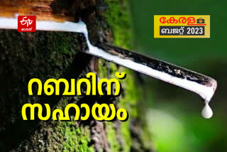 budget  Kerala Budget allocation to Rubber farming  ബജറ്റ് 2023  കെ എന്‍ ബാലഗോപാല്‍ ബജറ്റ്  രണ്ടാം പിണറായി സര്‍ക്കാര്‍ ബജറ്റ്  സംസ്ഥാന ബജറ്റ് 2023  കേരള ബജറ്റ് 2023  kerala budget  Second Pinarayi Govt Budget  KN Balagopal Budget  600 കോടിയുടെ സബ്‌സിഡി