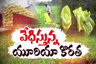 Urea shortage in joint Guntur district