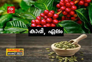 kerala Budget 2023 Live  kerala Budget 2023  kerala budget session 2023  kn balagopal budget  kerala budget  കേരള ബജറ്റ്  കേരള ബജറ്റ് 2023  കേരള ബജറ്റ് 2023 ലൈവ്