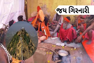 Mahashivratri Melo 2023 : ત્રિવેણી સંગમ મહાશિવરાત્રી લઈને નાગા સન્યાસીઓનું તળેટીમાં આગમન