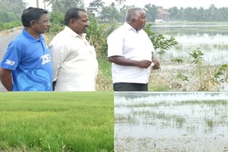 നെല്ലിന്‍റെ സംഭരണതുക കിട്ടിയില്ല കർഷകർ കടക്കെണിയിൽ  കർഷകർ കടക്കെണിയിൽ  അപ്പർ കുട്ടനാടിലെ കർഷകർ പ്രതിസന്ധിയിൽ  Farmers in Upper Kuttanad region are in crisis  Farmers are crisis in Upper Kuttanad  പുഞ്ചകൃഷി