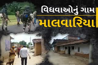 Malvariya Massacre In Palamu  : હત્યાકાંડ પછી વિધવાઓનું ગામ માલવરિયાનું બદલાઈ રહ્યું છે વાતાવરણ