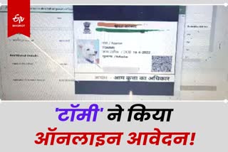 application for dog caste certificate Etv Bharat