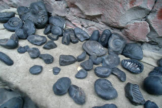 Shaligram stone for Lord Ram statue in Ayodhya