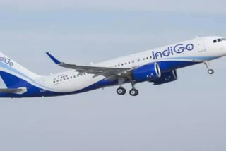 Indigo flies passenger to Udaipur instead of Patna