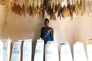 Baiga woman has developed a seed bank of coarse grains