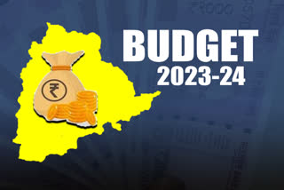 Telangana budget sessions