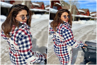 Priyanka Chopra Shares Photos Ftrom Her Colorado Trip