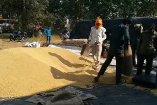 Paddy procurement