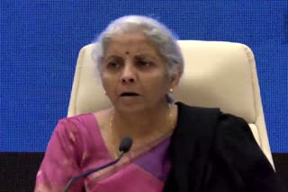 fpo-pullout-will-have-no-impact-on-perception-about-india-nirmala-sitharaman